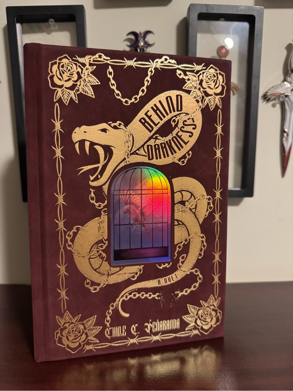 Bookish Box |Behind Darkness Duet Omnibus | Chloe C. Peñaranda